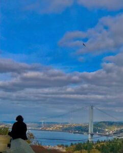 смотровые площадки стамбула, самая высокая смотровая площадка в Стамбуле, смотровая площадка с чайками в Стамбуле, смотровая площадка в азиатской части стамбула, смотровая площадка в европейской части стамбула, смотровая площадка на босфор, бесплатные смотровые площадки стамбула, самые красивые смотровые площадки стамбула, смотровая площадка сапфир стамбул как добраться