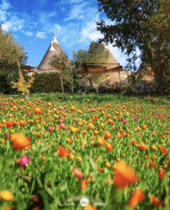 Альберобелло трулли в Италии