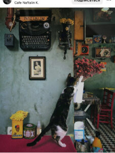 инстаграмные места Стамбула, коты Стамбула, красивые места для фото в Стамбуле